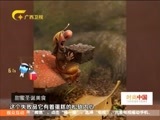 时尚中国 《时尚中国》 20161215