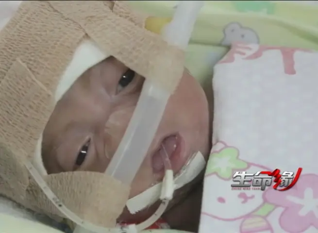 生命缘第一季 第20140929集