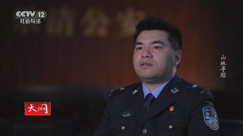天网 《天网》 20240906 山林寻踪