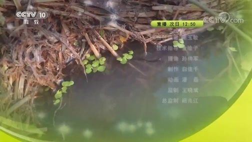 我爱发明 《我爱发明》 20181011 连克鼠敌