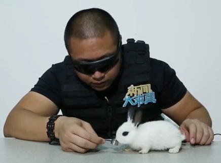 新闻大求真 为什么兔子会咬人呢？