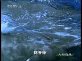 人与自然 自然启示 挑战极限 上