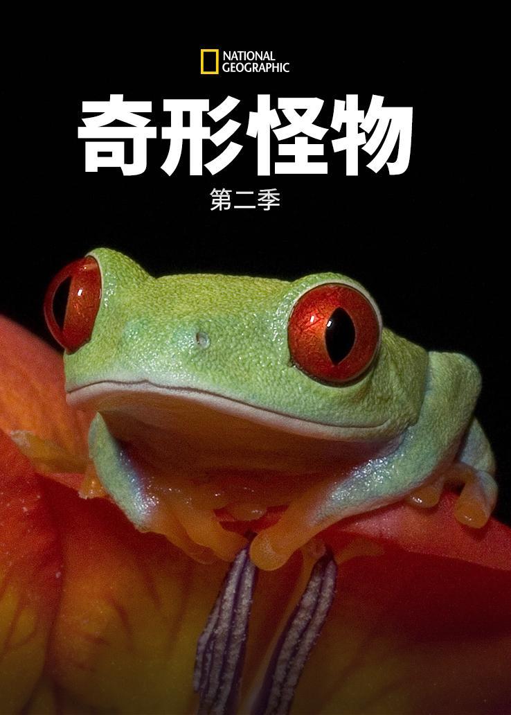奇形怪物第二季 海报