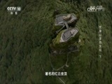 地理中国 《地理中国》 20170609 梵净山里的发现（下）
