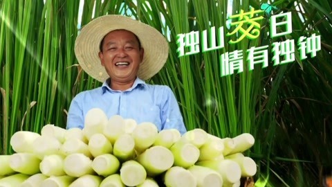 与梦想合拍 独山茭白 情有独钟