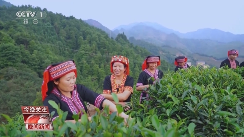 《晚间新闻》 20260308