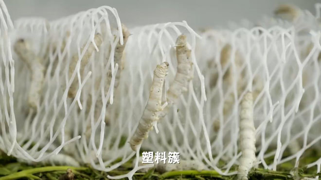 《致富经》 20210920 老陈的新“丝”路