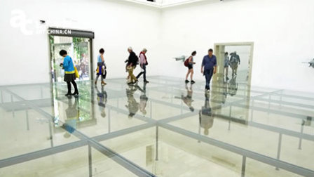 艺术中国 第57届威尼斯双年展:德国馆 23