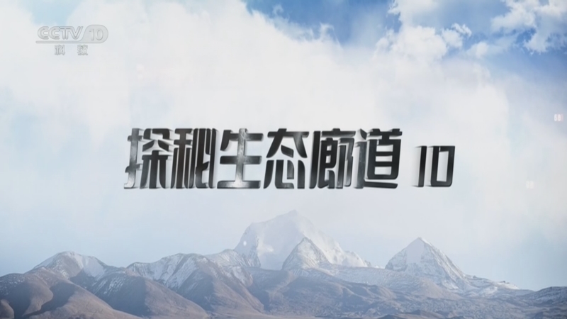 《地理·中国》 20260527 探秘生态廊道10