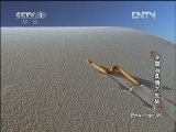 动物世界 《动物世界》 20121017