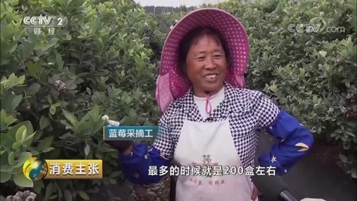 消费主张 《消费主张》 20190522 水果里的消费升级：国产蓝莓为何热卖？