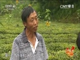 远方的家 《远方的家》 20150425 北纬30°·中国行（66）宜昌：长江活化石