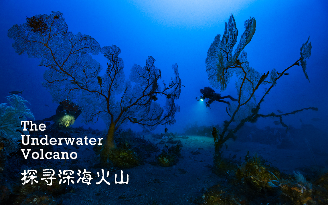 探寻海底的沉睡巨兽