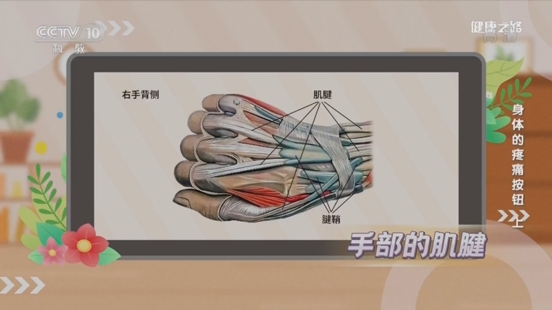 健康之路 《健康之路》 20220412 身体的疼痛按钮（上）