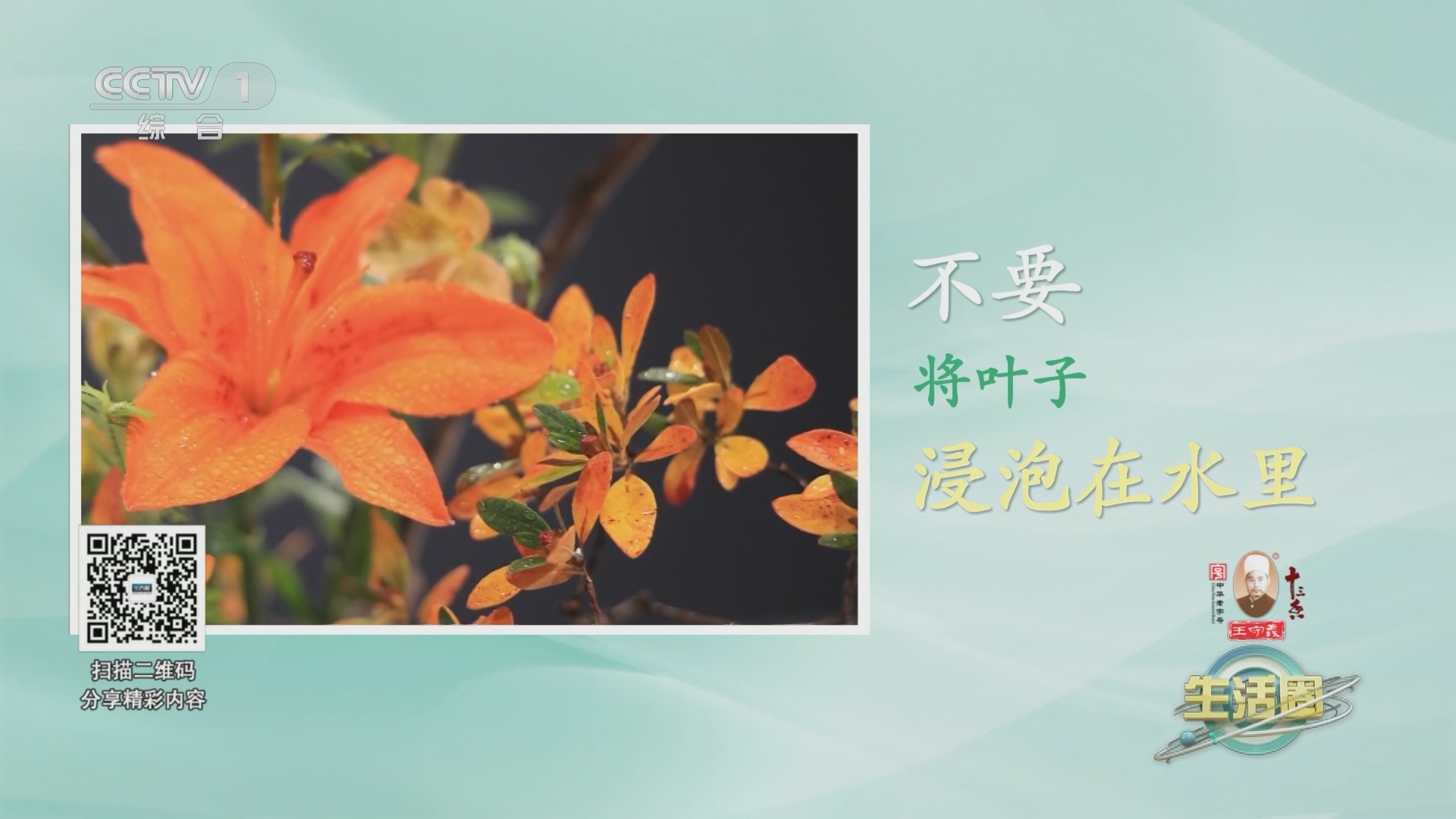 生活圈 《生活圈》 20231019