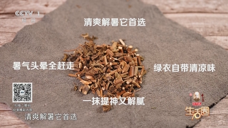 生活圈 《生活圈》 20250812