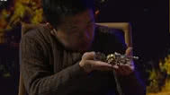 揭秘真相 送上门的宝藏
