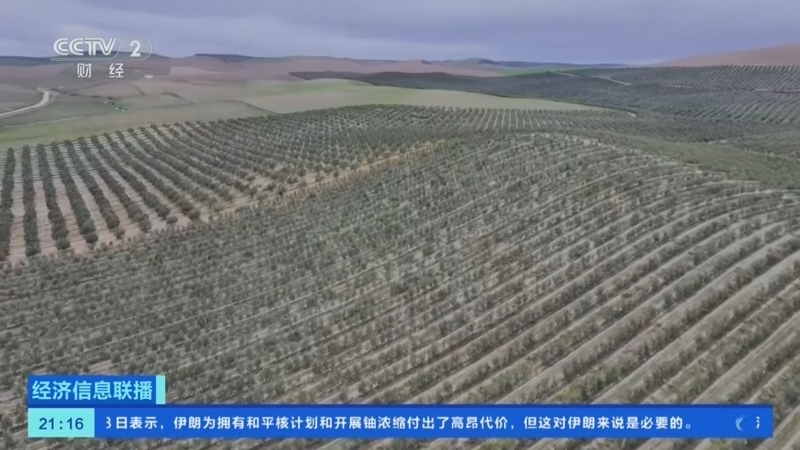 《经济信息联播》 20260208