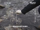 地理中国 《地理中国》山河春色 圣湖幻境 20150301