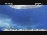 超级减肥王 《超级减肥王》 20131020