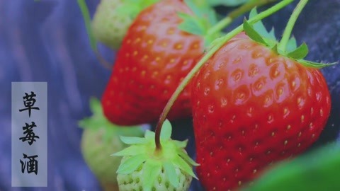 李子柒古香古食 如晨露般清甜的草莓酒！