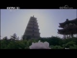 魅力纪录（CCTV-1综合频道） 《魅力纪录》 20121015 玄奘之路 第六集 呕心沥血 圆满