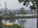 消费主张 《消费主张》 20170413 春色 春食 春滋味：脆肉鲩