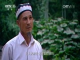 综合频道中国人的活法 《中国人的活法》 20150710 切糕合伙人