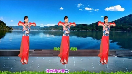流行DJ广场舞及教学 第三季 新潮情歌DJ广场舞《我要一生陪你走》演示分解