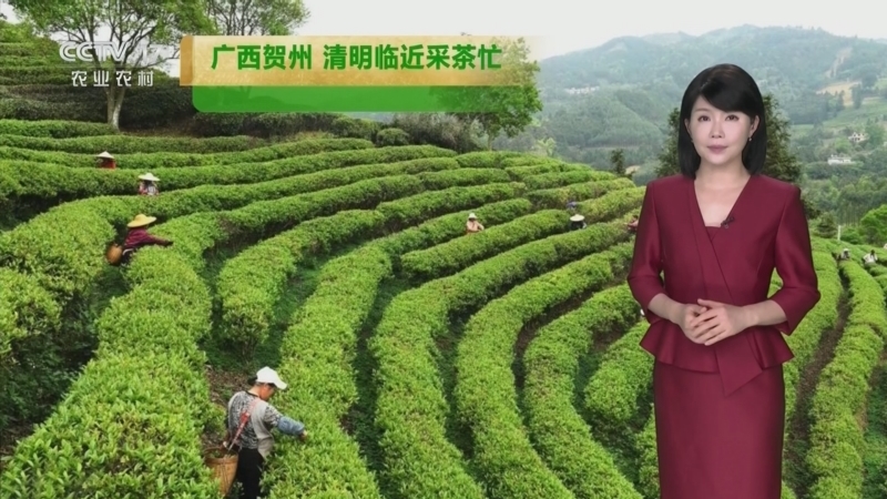 《农业气象》 20260330 18:25