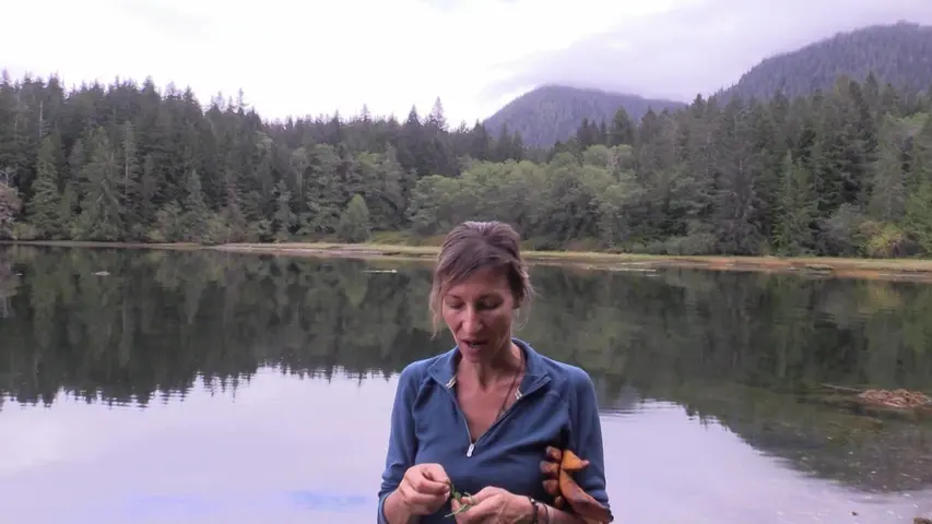 《荒野独居第二季》第3集