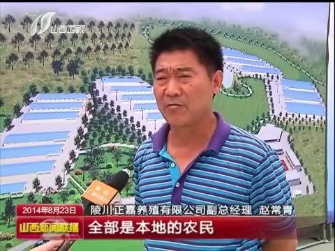 山西新闻联播 《山西新闻联播》 20140823
