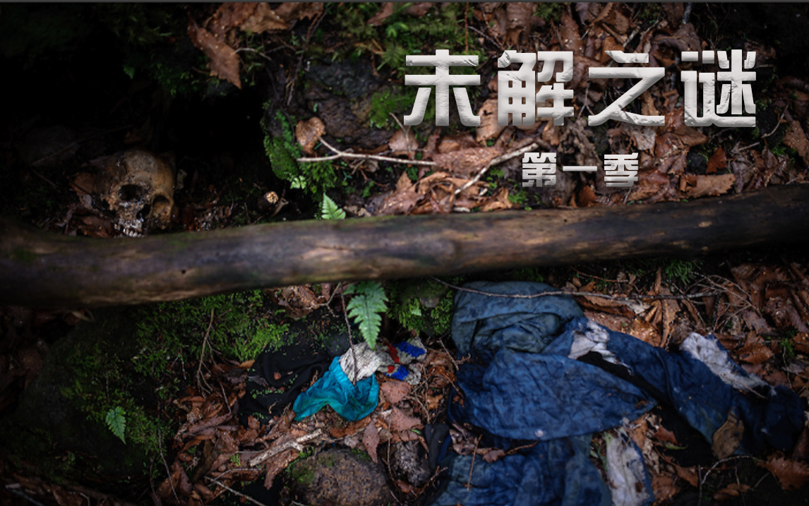 自杀森林