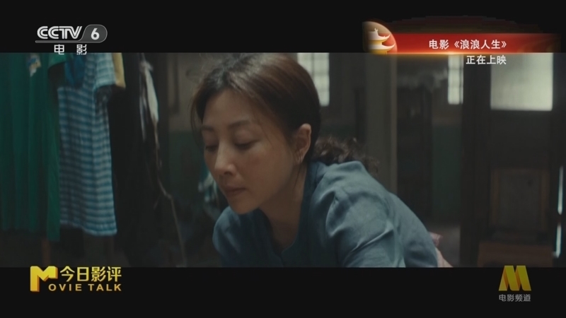 今日影评 《今日影评》 20251003 《浪浪人生》