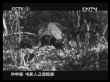 魅力纪录（CCTV-1综合频道） 《魅力纪录》 20130415 死亡之吻-科莫多巨蜥