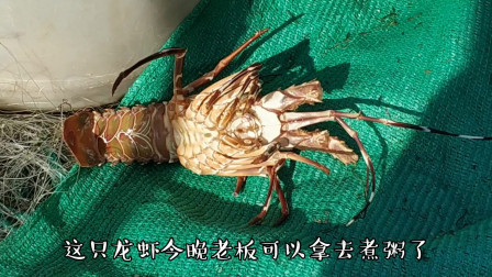 南澳岛赶海日记 潮汕土豪老板又来包船了，这次收获真心不错，老板看到后开心极了