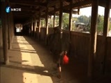 东南晚报 《东南晚报》 20160128