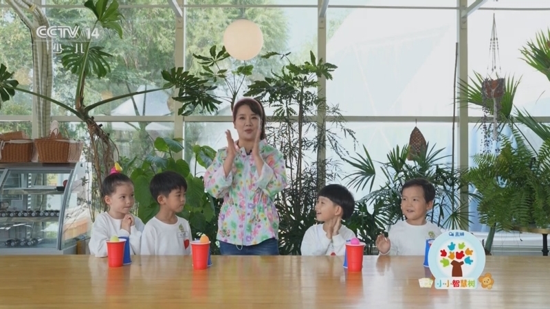 小小智慧树 《小小智慧树》 20231110