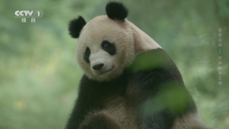 《国家公园——万物共生之境》 第2集 相伴同行