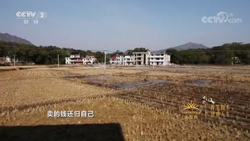 消费主张 《消费主张》 20200110 家乡的年味：江西兴国