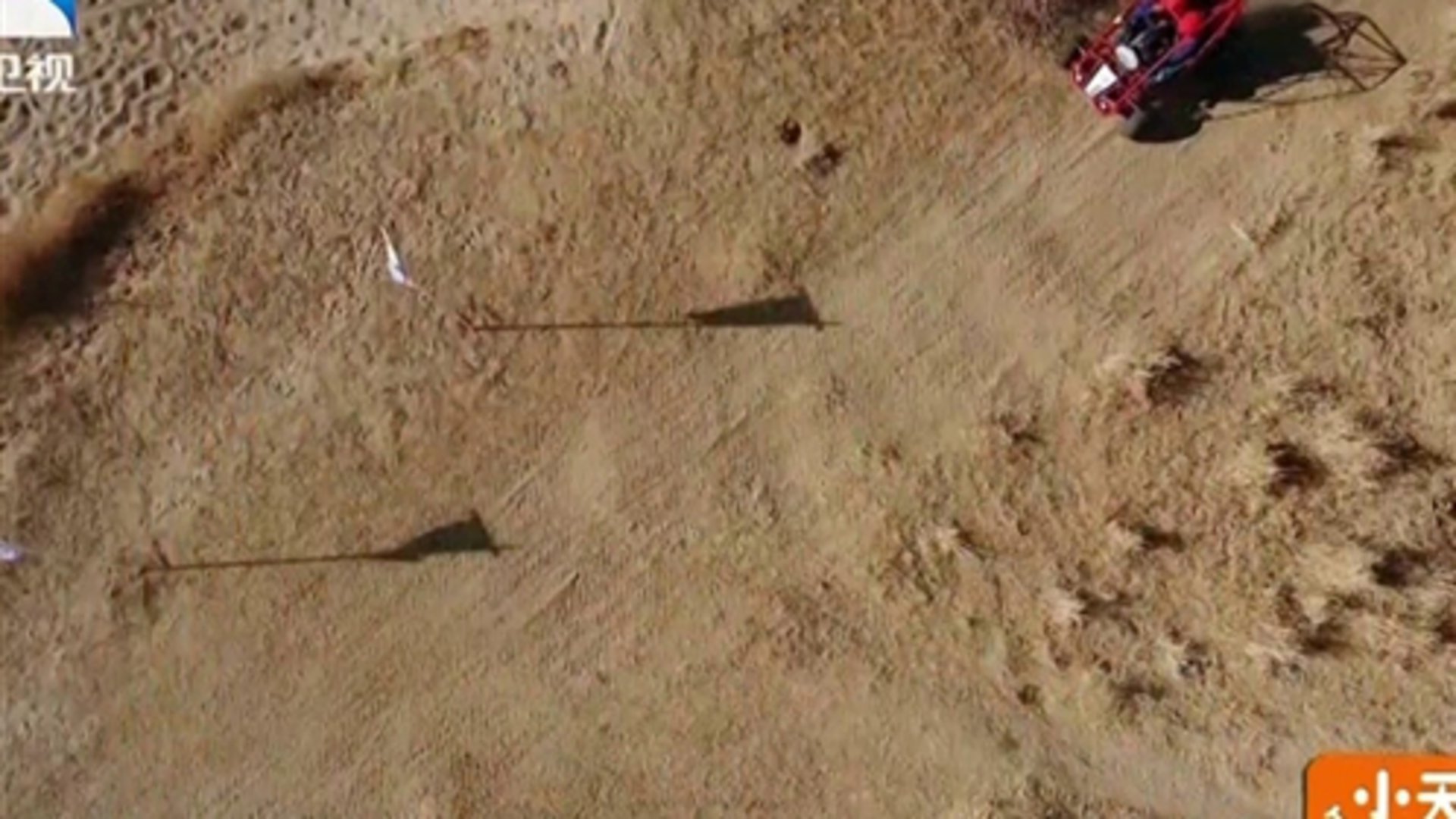 赛车接力赛体验速度与激情