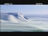人与自然 《人与自然》 20121012 自然故事 北极熊的夏天—两口之家与三口之家