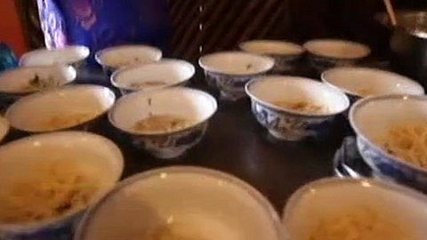 四海漫游 芒康高原去寻宝—四海漫游