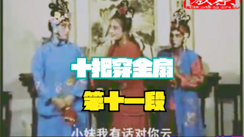 河南坠子 琴书《十把穿金扇》