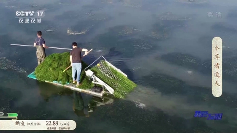 《我爱发明》 20210528 水草清道夫