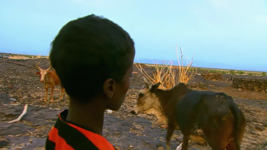 《翻山涉水上学路第二季》第1集