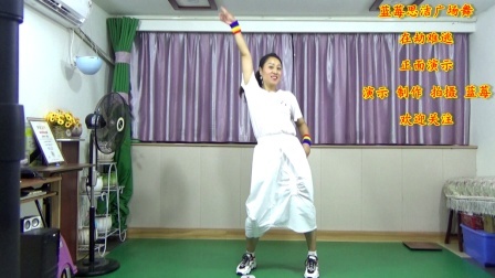 蓝莓思洁广场舞 现代舞《在劫难逃》正面演示