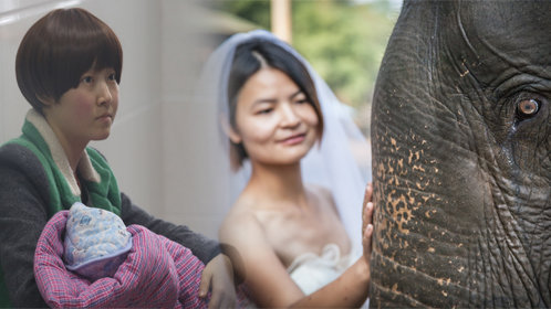 宝贝你好 怀孕姐姐要舍身就妹感人