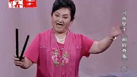 河南坠子 河南坠子 相府奇冤 二部
