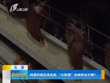 新闻午报-山西 《新闻午报-山西》 20170430